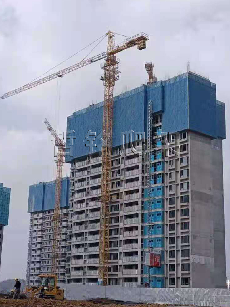 安全建筑黄瓜视频污在线观看网